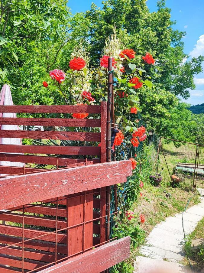 Apartment Dedo, Salara Farmhouse Копер Экстерьер фото