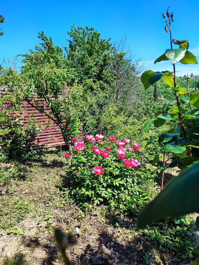 Apartment Dedo, Salara Farmhouse Копер Экстерьер фото
